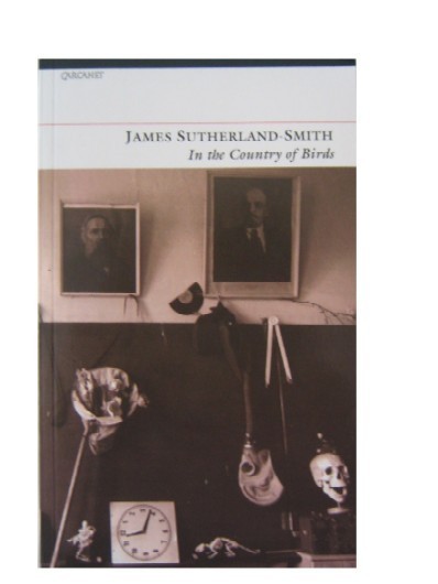 The cover of In the Country of Birds